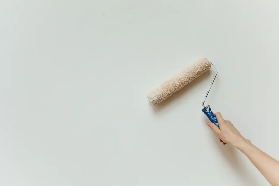 Peinture & plâtrerie